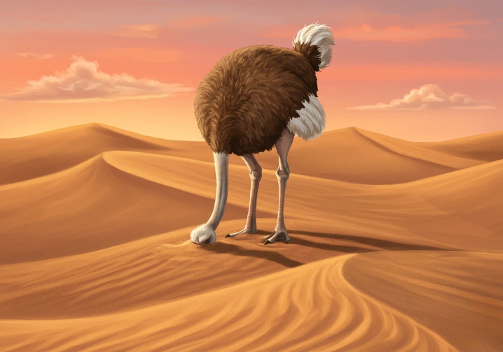 how to overcome the ostrich effect, how can the ostrich effect be exploited, ostrich effect examples, why ostrich bury head in sand, ostrich effect psychology, ostrich head in sand idiom, why do emus bury their heads in the sand, ostrich head in sand gif, ostrich syndrome in humans, how to overcome the ostrich effect?, what does it mean to bury your head in the sand like an ostrich?, what is the ostrich effect in psychology?, what is an example of the ostrich effect in real life?, what is the #1 worst habit for anxiety?, what are the 3 C's of cognitive coping?, why do I always bury my head in the sand?, what do ostriches symbolize in the Bible?, what is the ostrich problem solving?, what are the 5 cognitive biases?, why do people double down when wrong?, what is the hostile intent bias of ADHD?, why do some people bury their heads in the sand?, what is the ostrich personality?, what is the ostrich effect story?, what is the 3-3-3 rule for habits?, what is the 555 rule for anxiety?, what is the 3-3-3 anxiety rule?, how to train your brain to stop thinking negatively?, how do I do CBT on my own?, what are the 4 coping strategies?, what are 10 ways to overcome cognitive biases?, how to fight against an ostrich?, how to reset your body from chronic stress?, how to overcome egocentric bias?, what is the meaning of to bury one's head in the sand?, what does the Bible say about burying your head in the sand?, what does it mean when someone buries their head in the sand?, why does ostrich bury its head in sand?, how to counteract cognitive distortions?, what are the 5 R's of reducing unconscious bias?, what is the 10-10-10 rule in decision making?